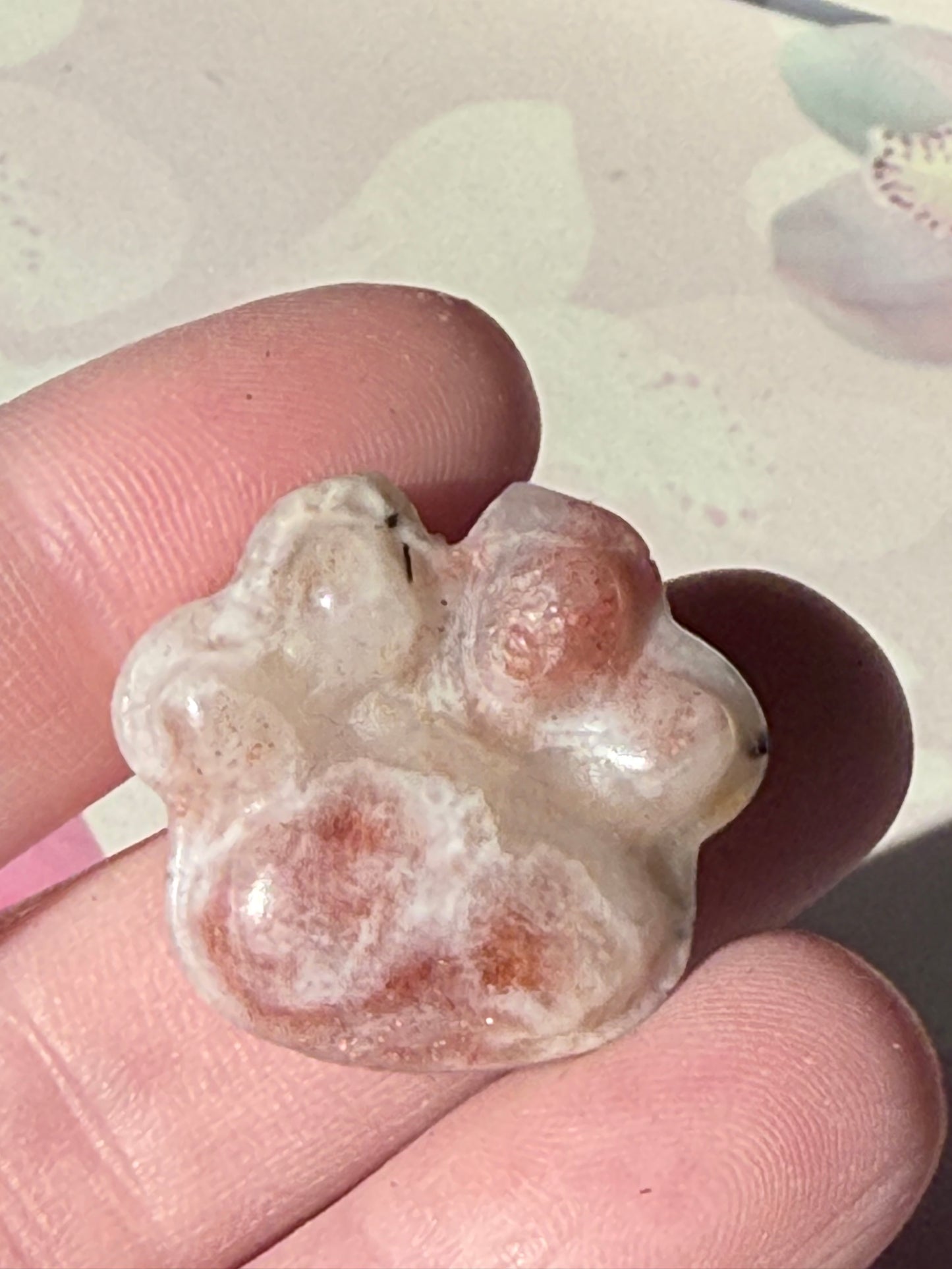 Mini Animal Paws