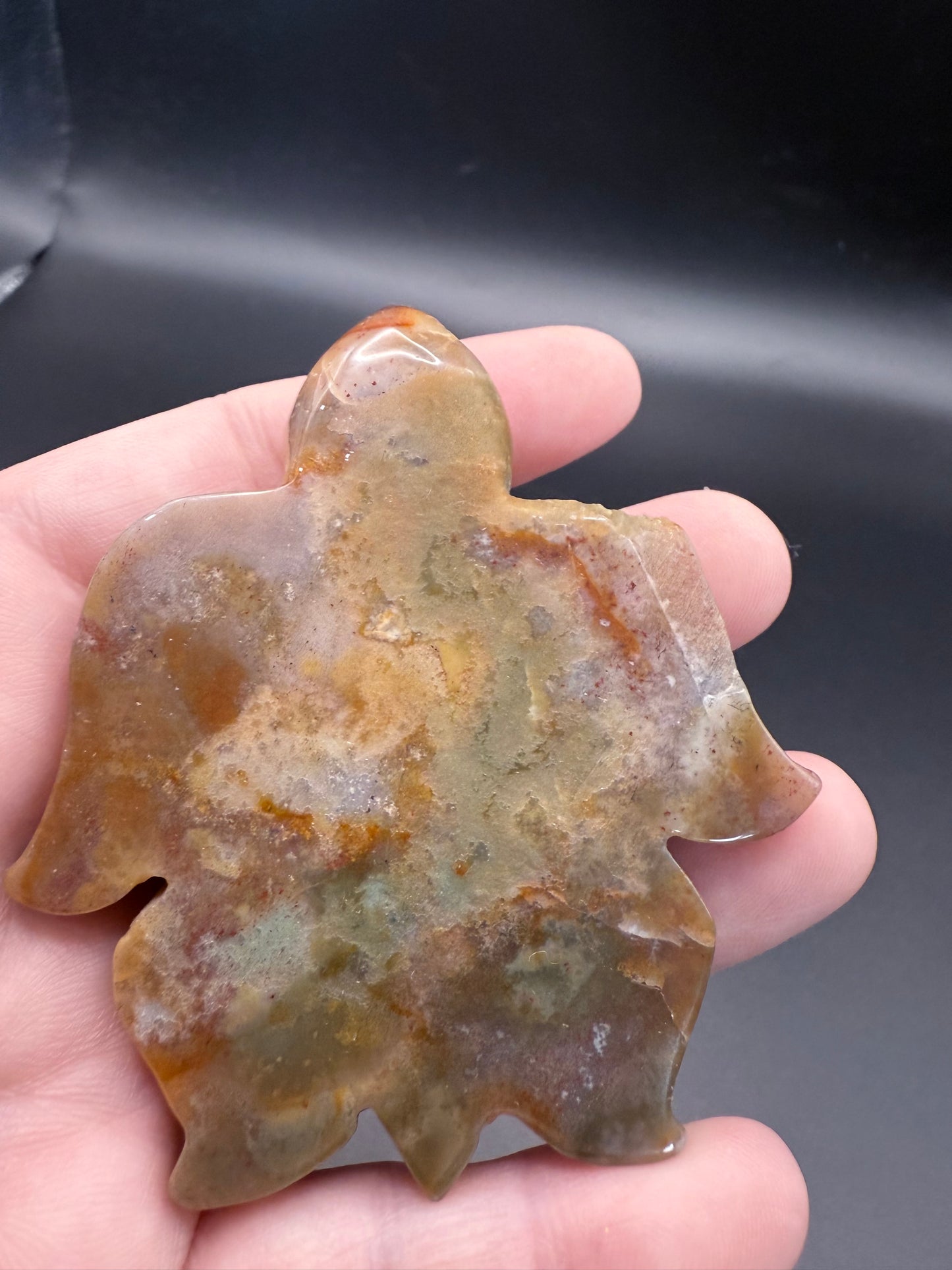 Ocean Jasper Turtle