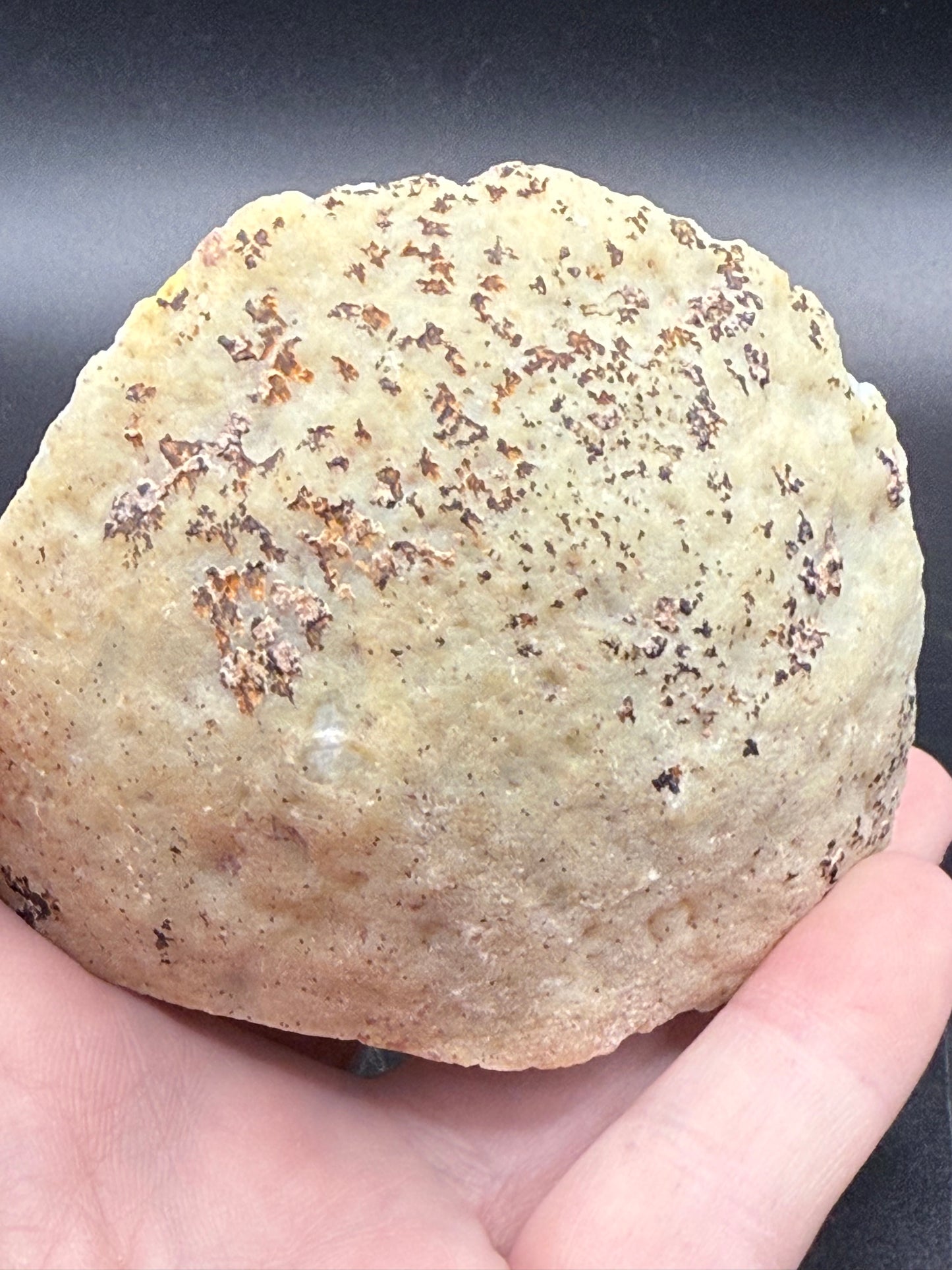 Agate Geode