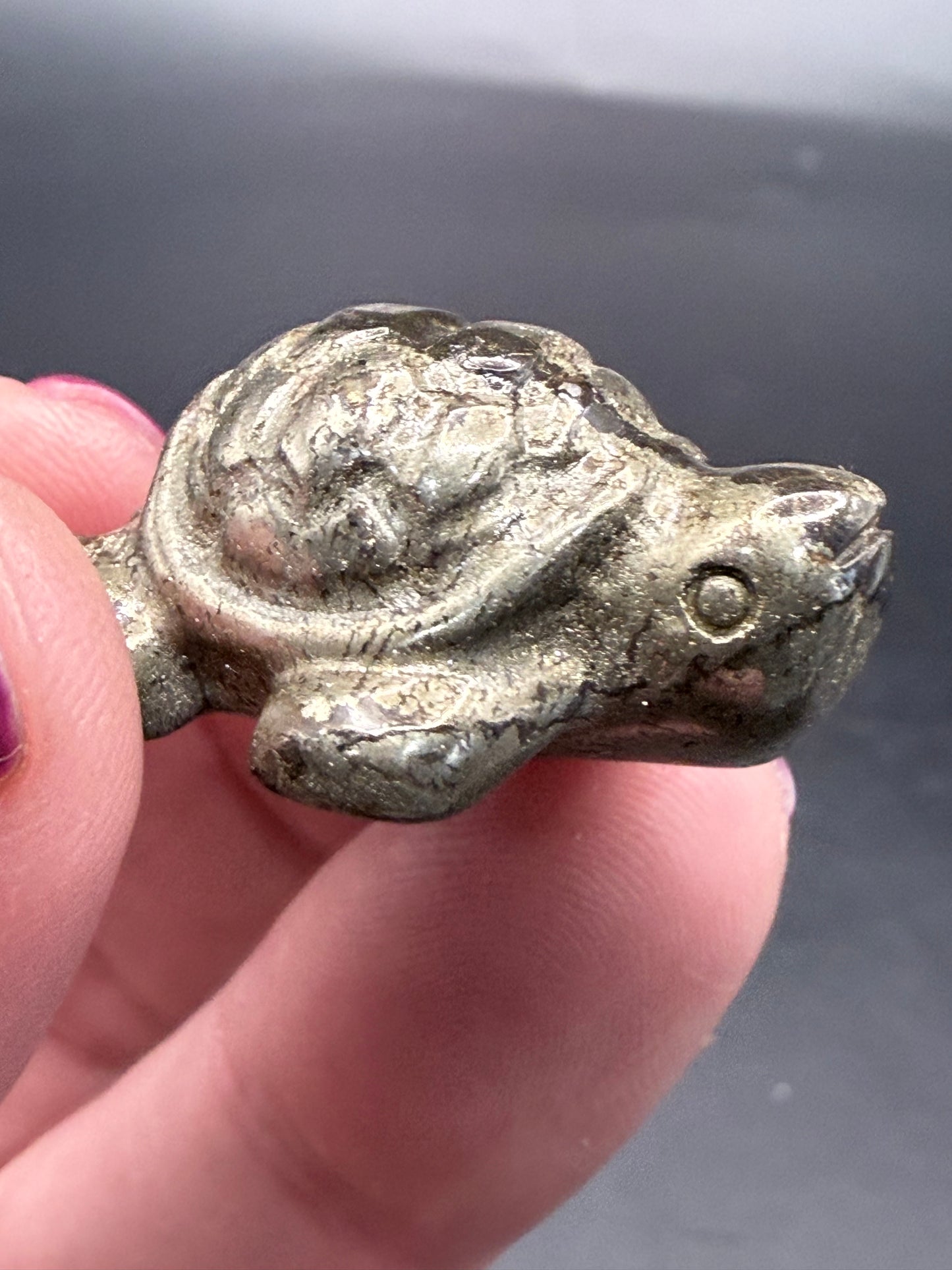Pyrite Turtle β Strength, Luck & Protection