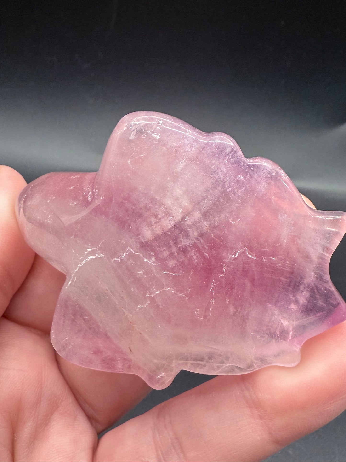 Pink Fluorite Turtle Carving