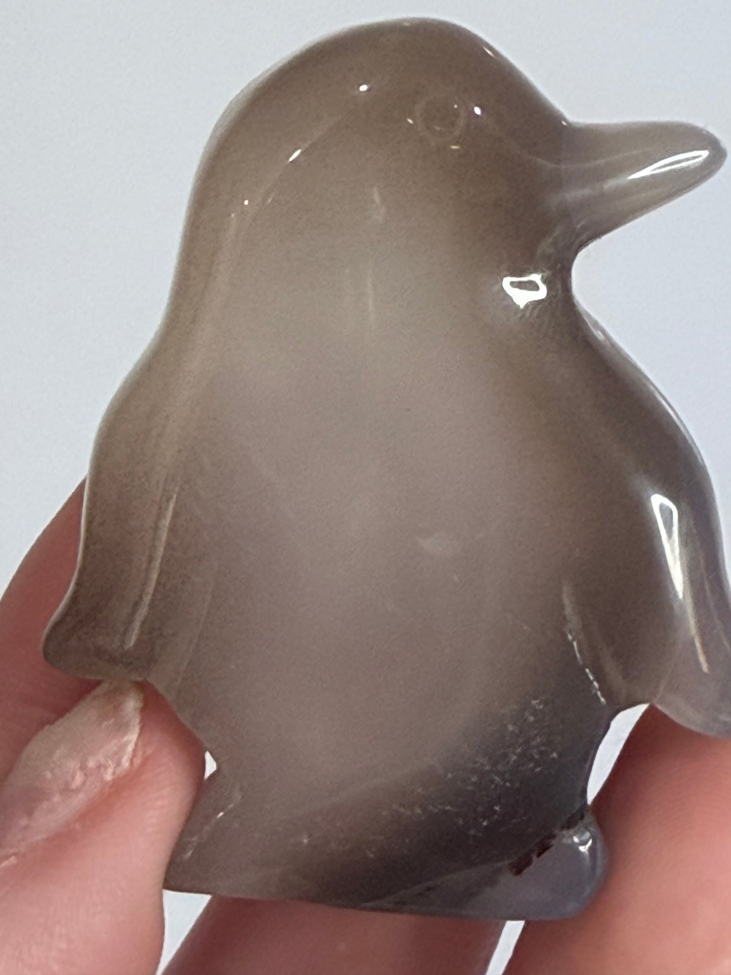 Grey Chalcedony Penguin Druzy Carving – 5.5cm
