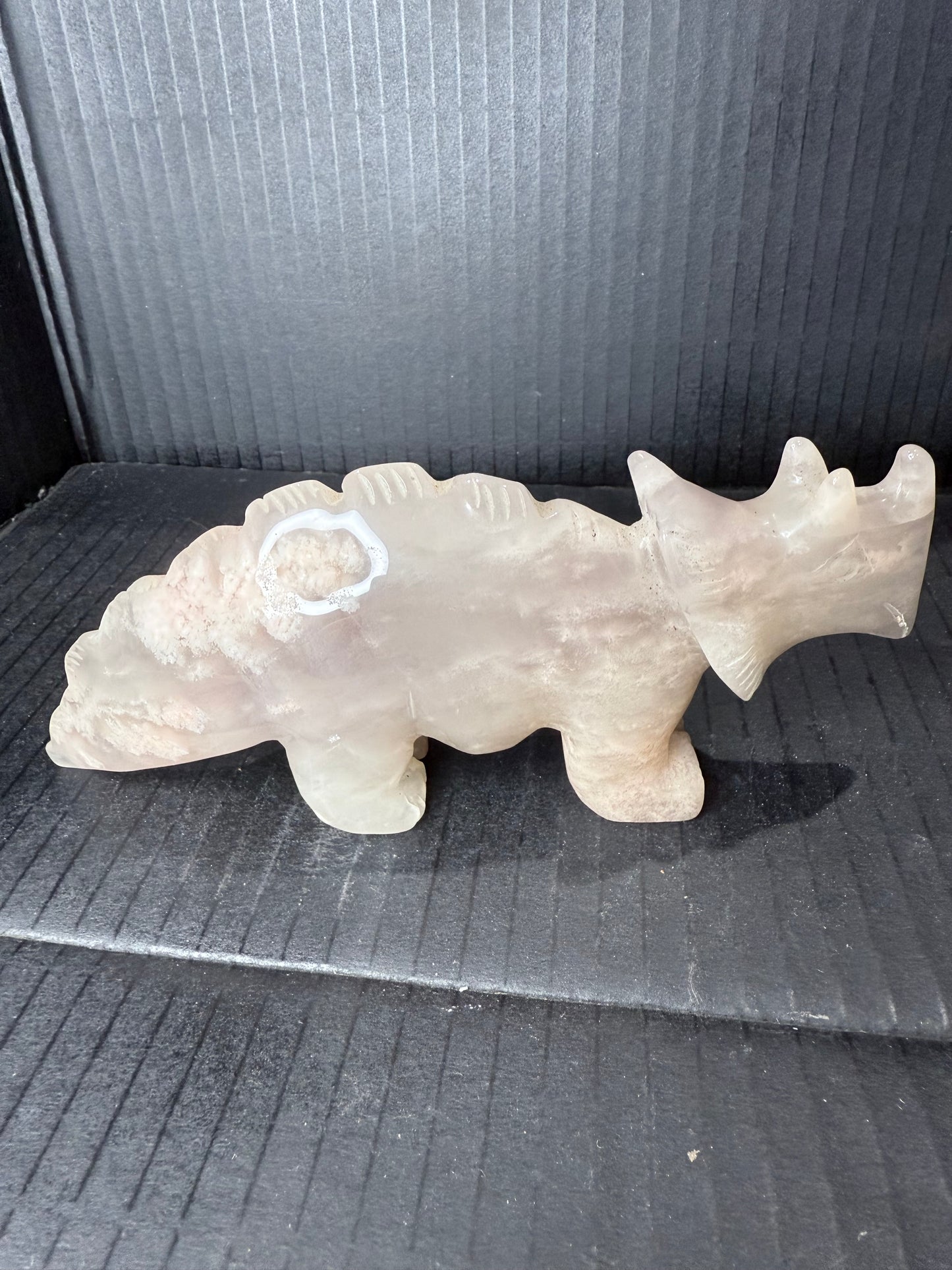 Flower Agate Triceratops Dino