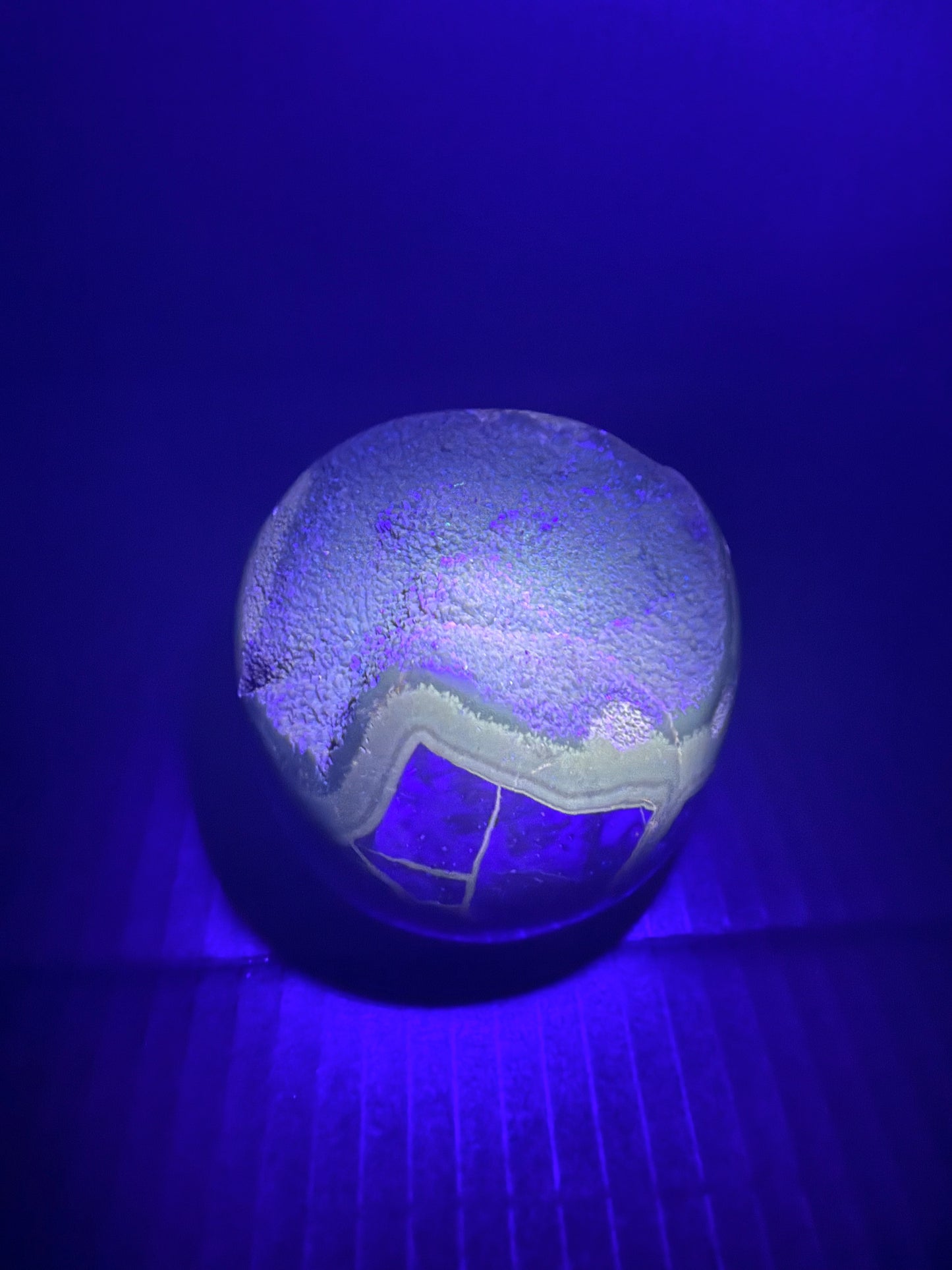 Septarian/dino Egg