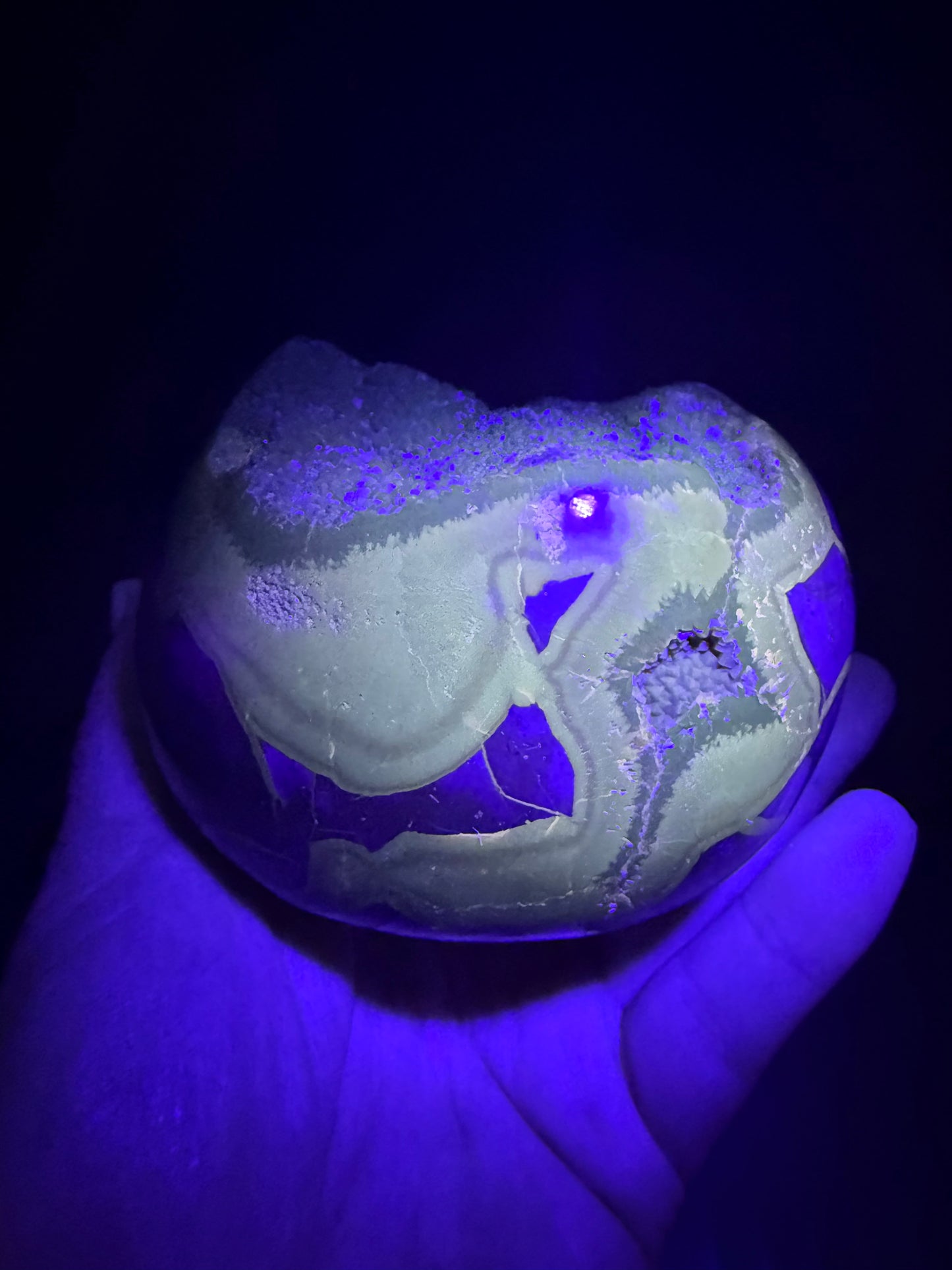 Septarian/dino Egg