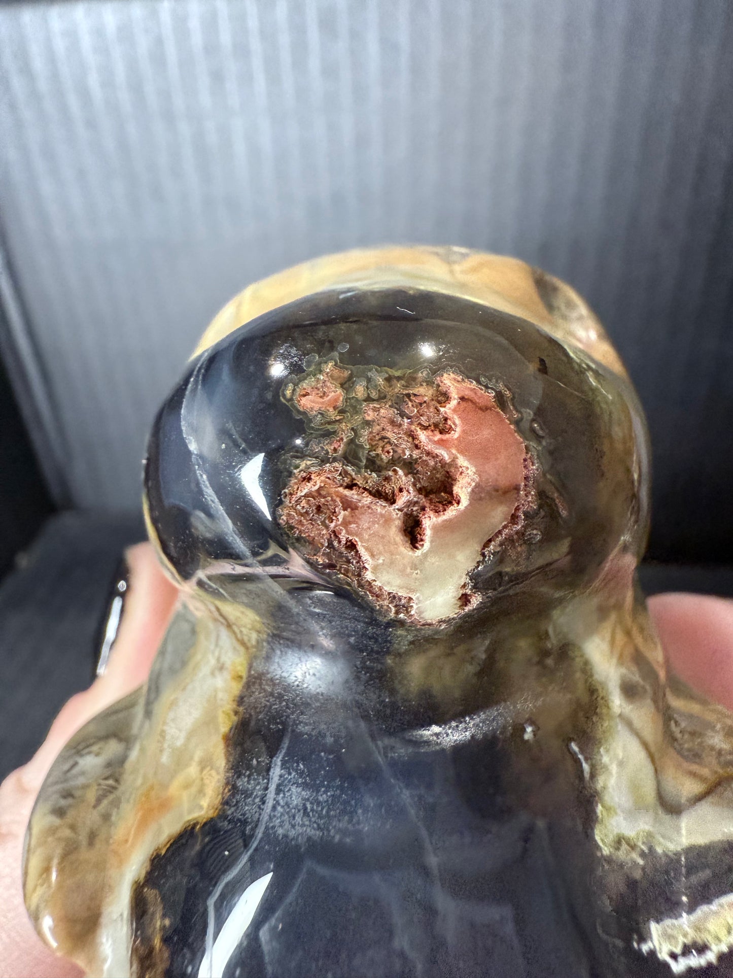 Volcano Agate T-Rex Dino