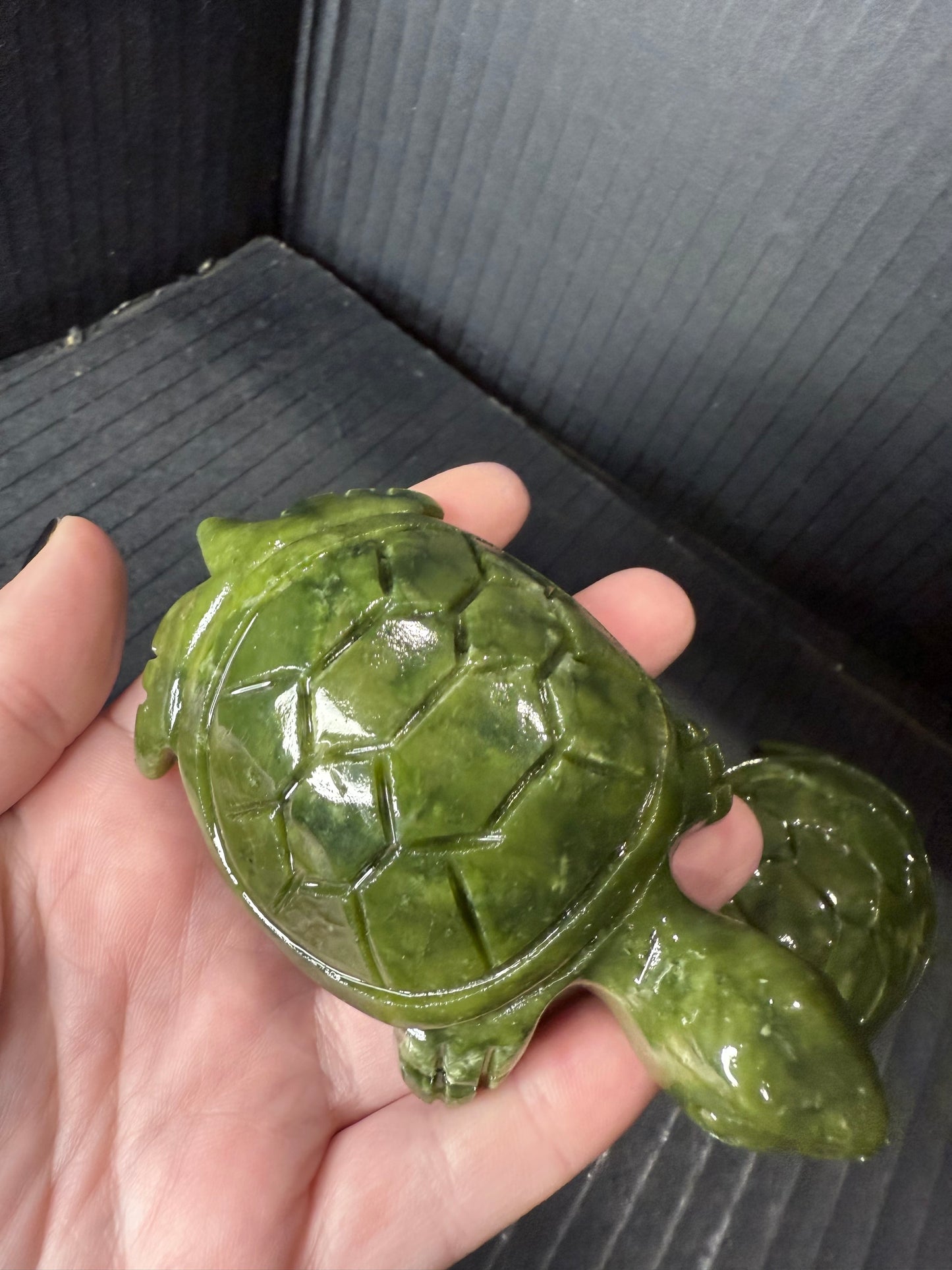 Green Jade Turtle
