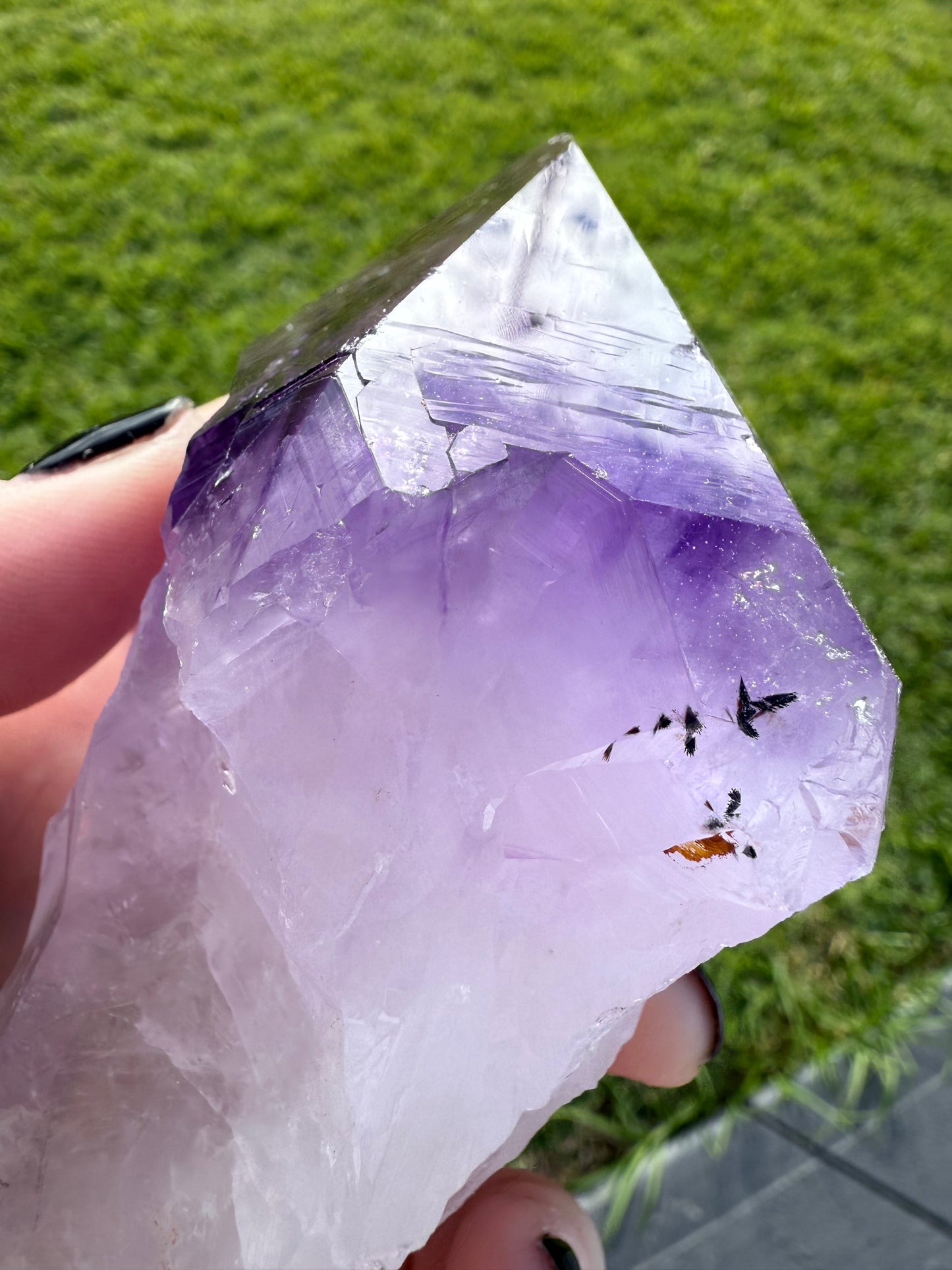 Amethyst Tooth with Custom made stand