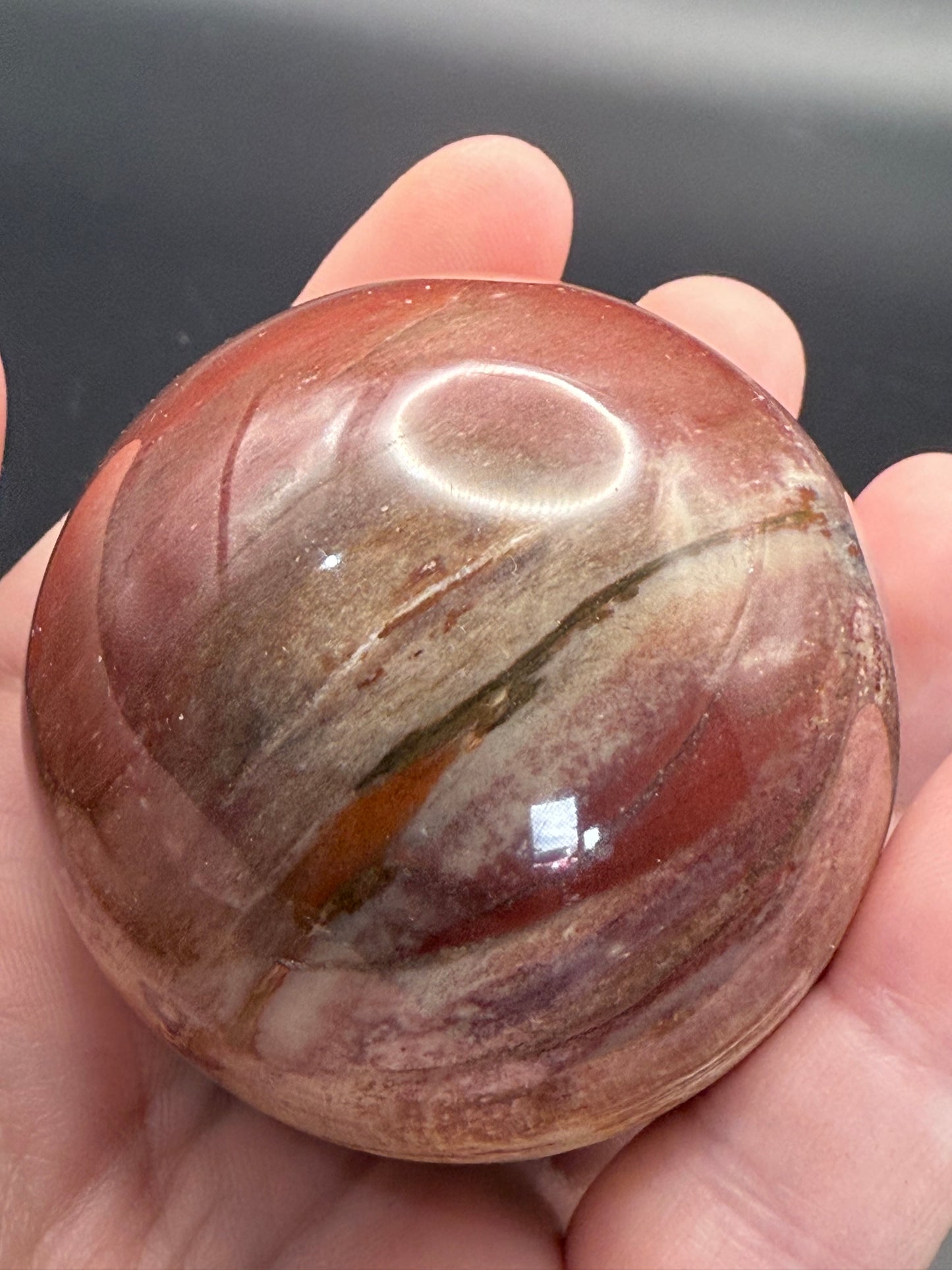 Petrified Wood Sphere