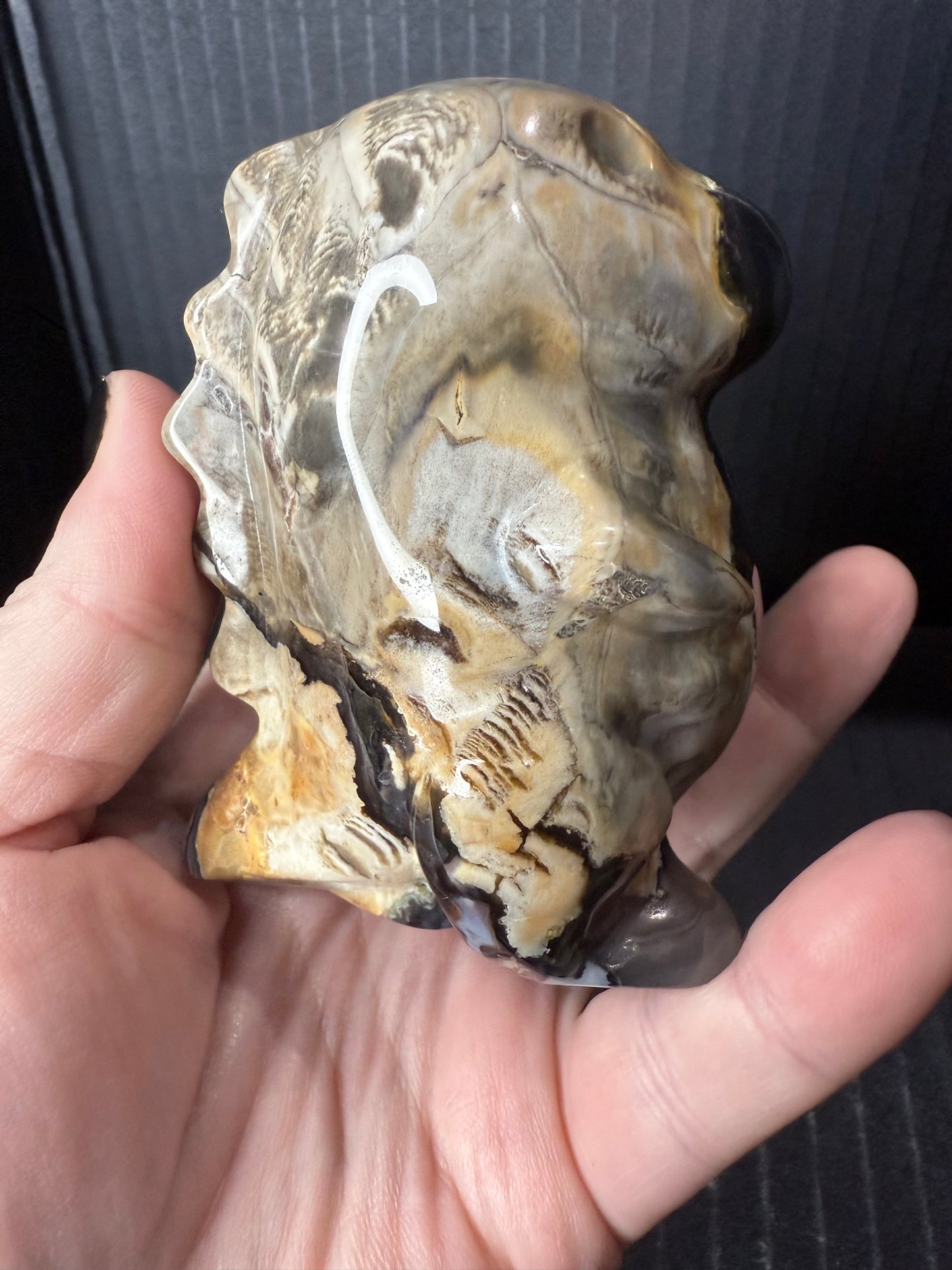 Volcano Agate T-Rex Dino