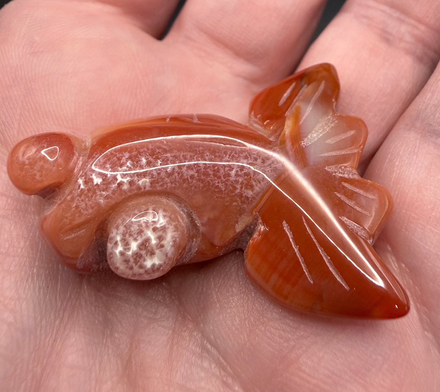 Carnelian Agate Goldfish 4.5cm