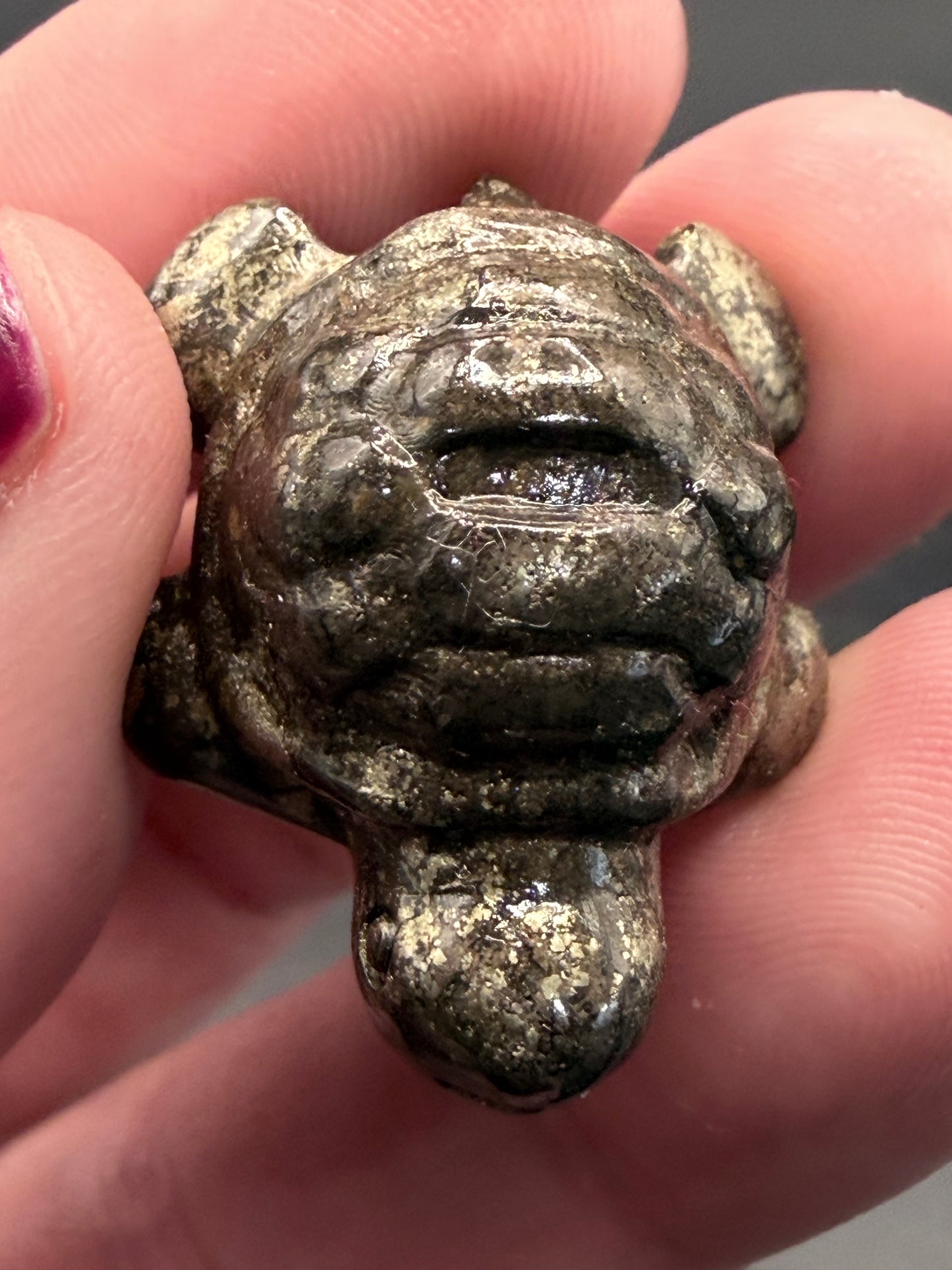 Pyrite Turtle β Strength, Luck & Protection