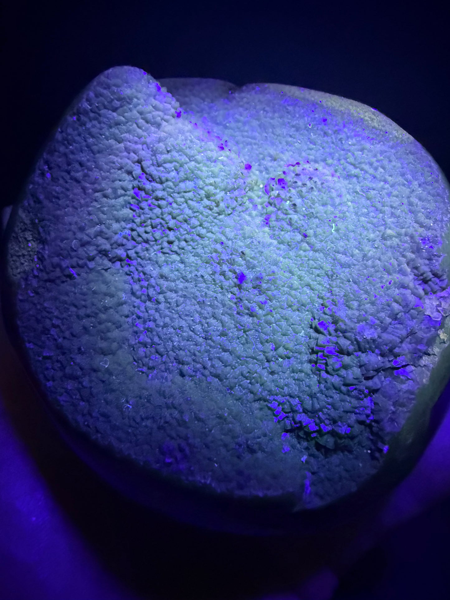Septarian/dino Egg