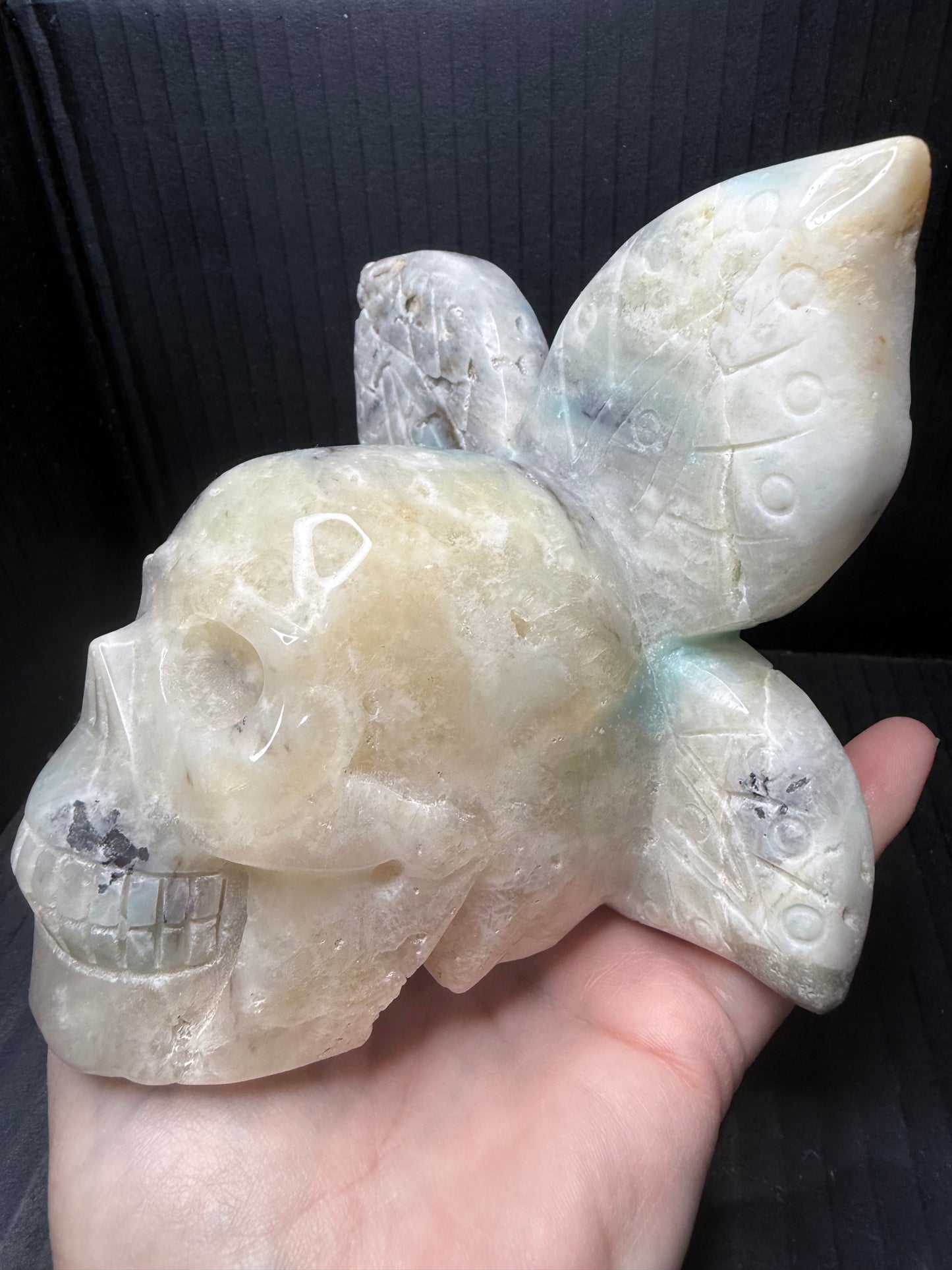 Caribbean Calcite Skull with wings