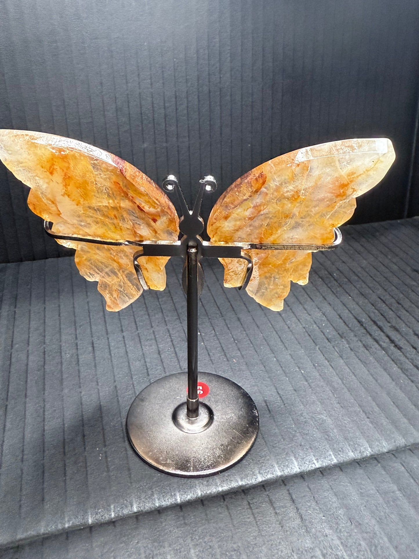 Golden Healer Butterfly