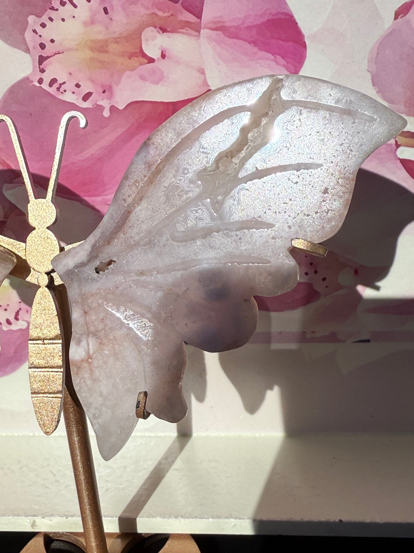 Flower Agate Butterfly on Gold Stand