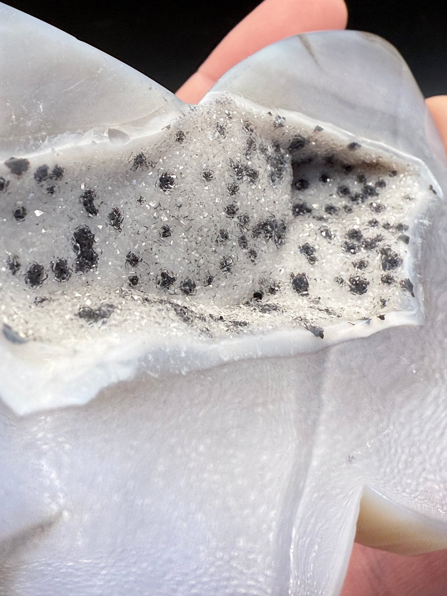 Agate Druzy Butterfly Carving