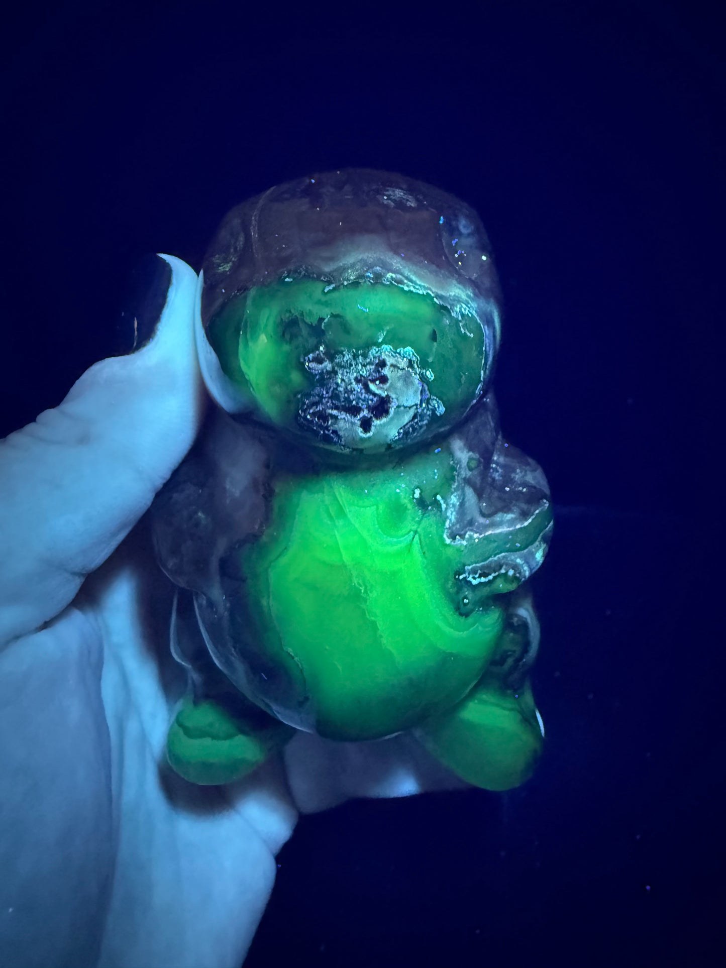 Volcano Agate T-Rex Dino