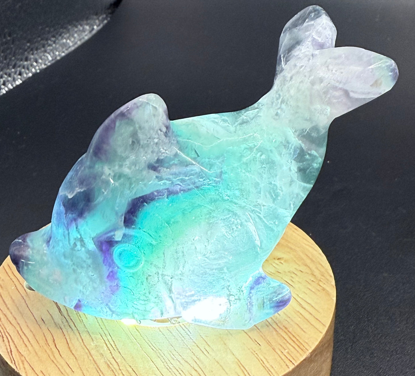 Rainbow Fluorite Dolphin Carving ā 172g | 8.6 x 4.7cm