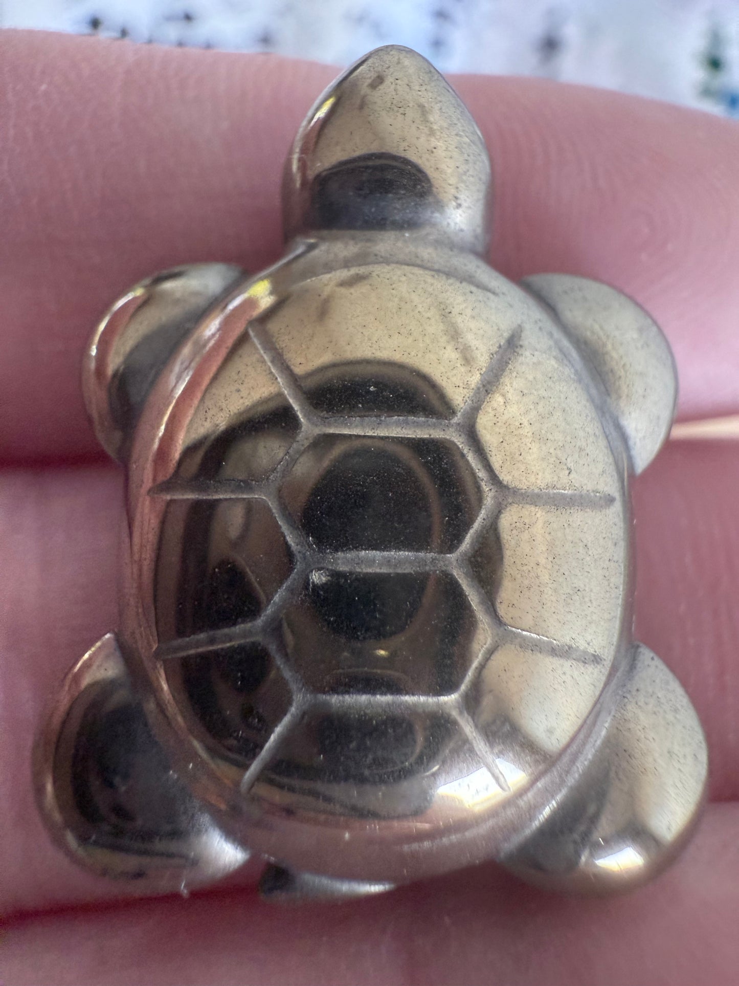 Pyrite Turtle