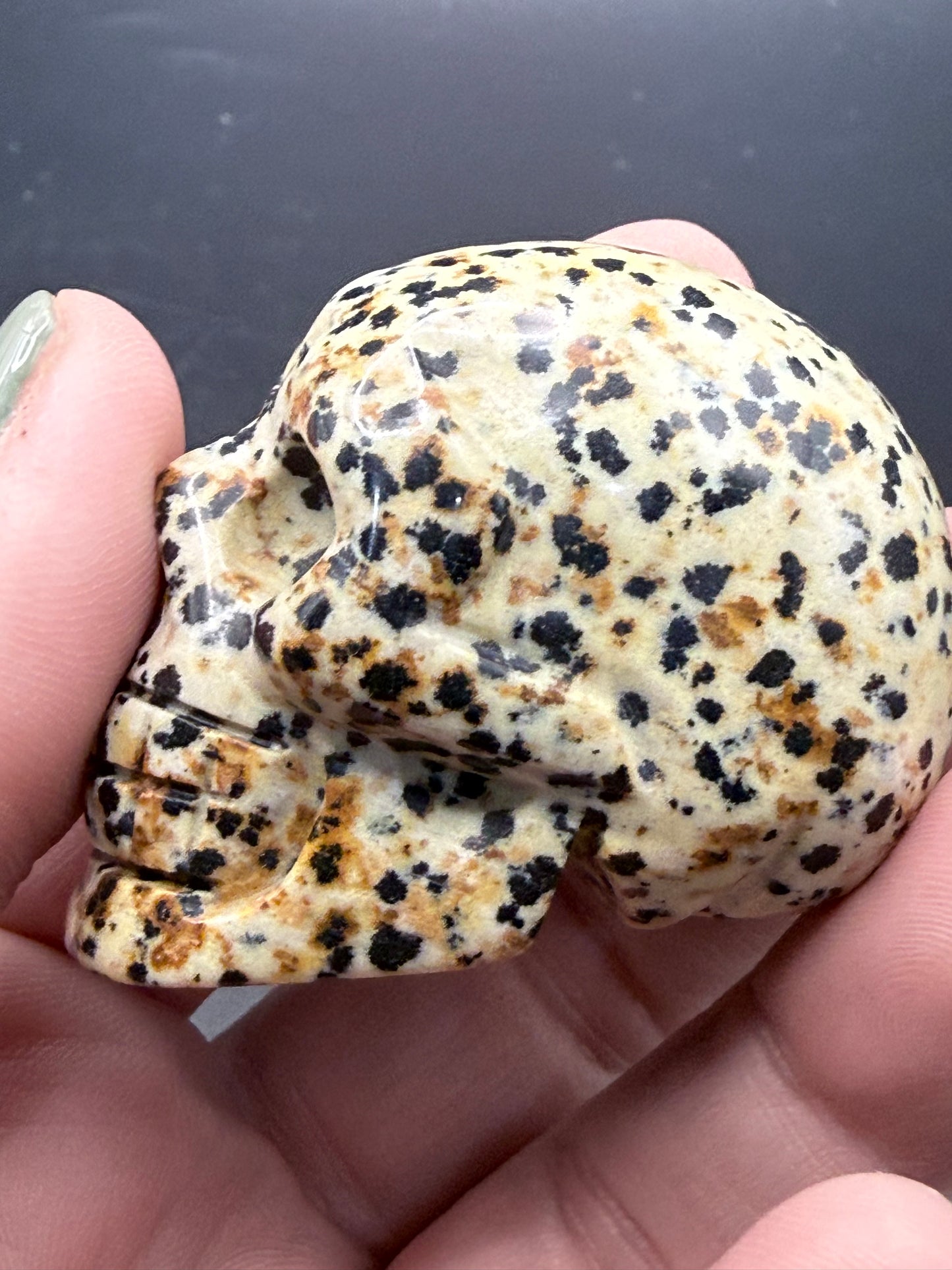 Dalmatian Jasper Skull Carving β 5cm