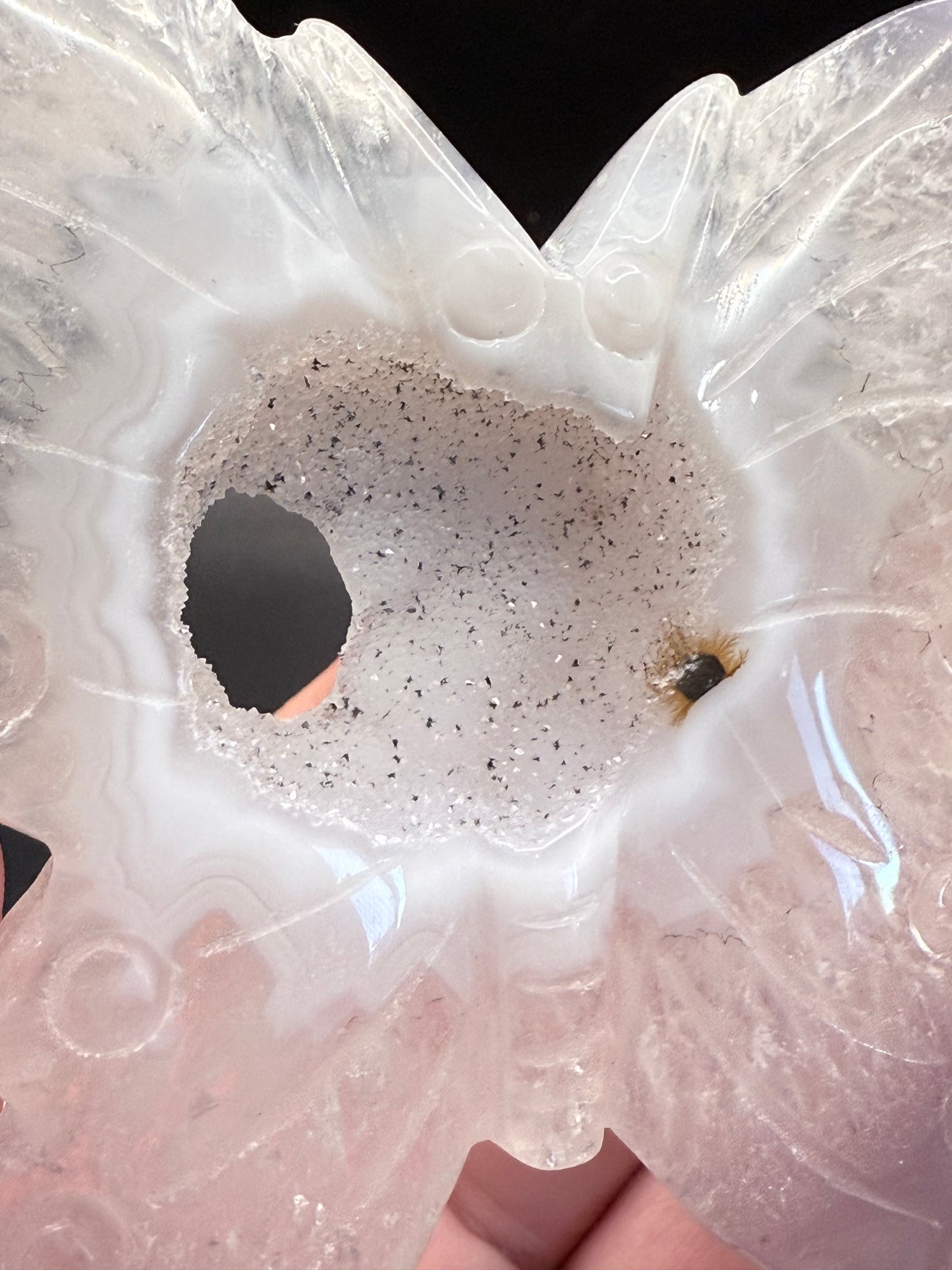 Agate Butterfly with Sparkling Druzy