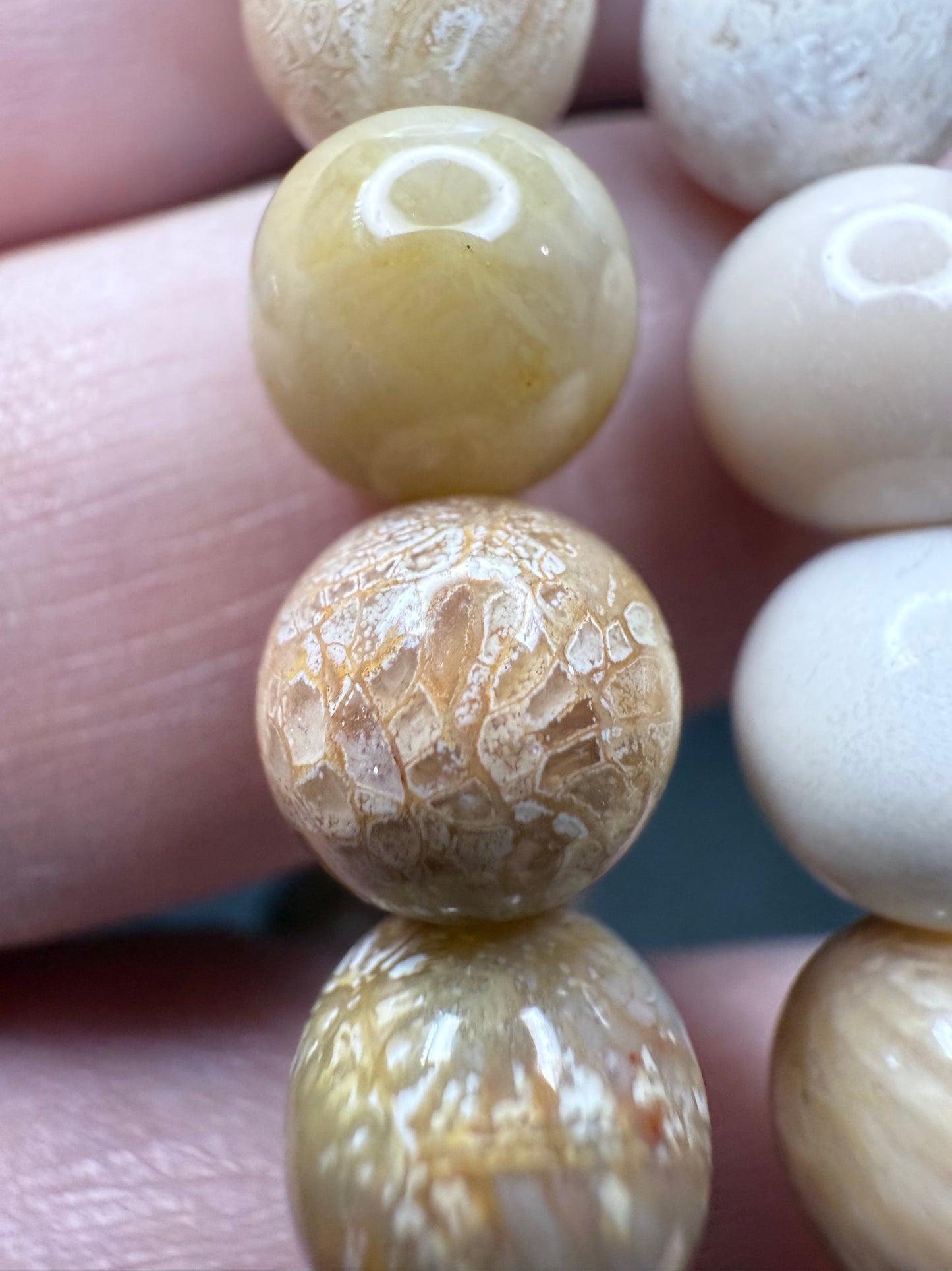 Fossil Coral Bracelet 8mm - Crystal wonderland By Lisa