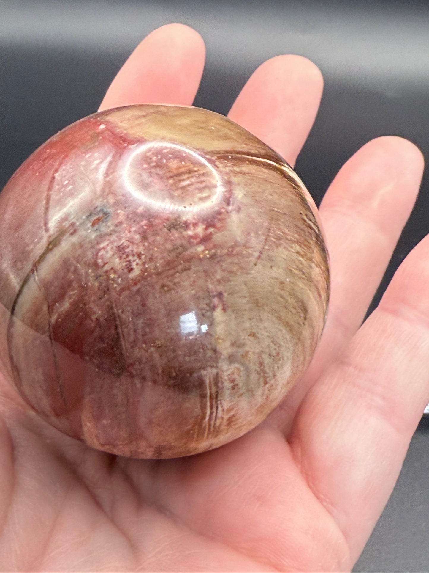 Petrified Wood Sphere