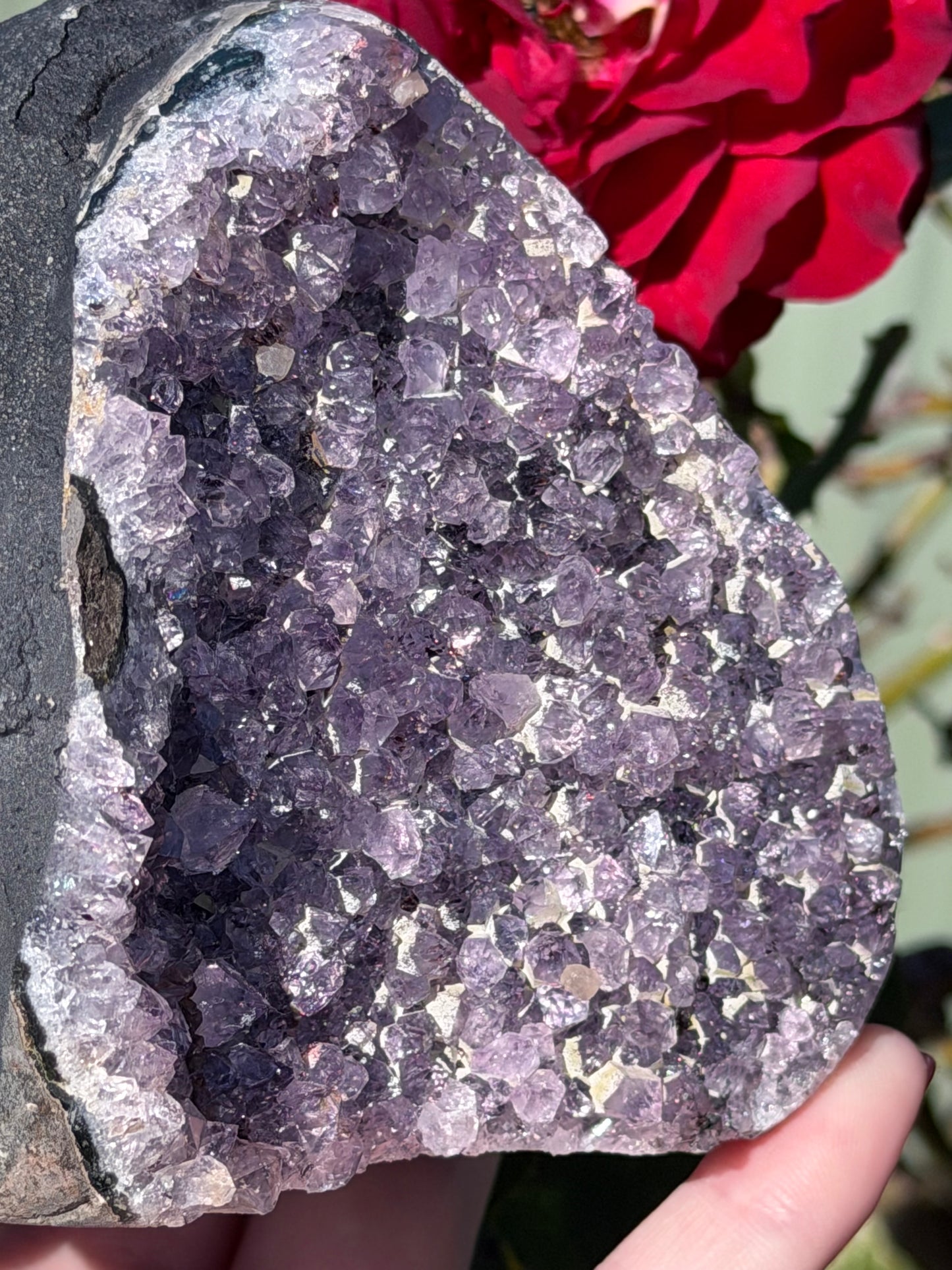 Brazilian Amethyst Druzy Geode – 914g C