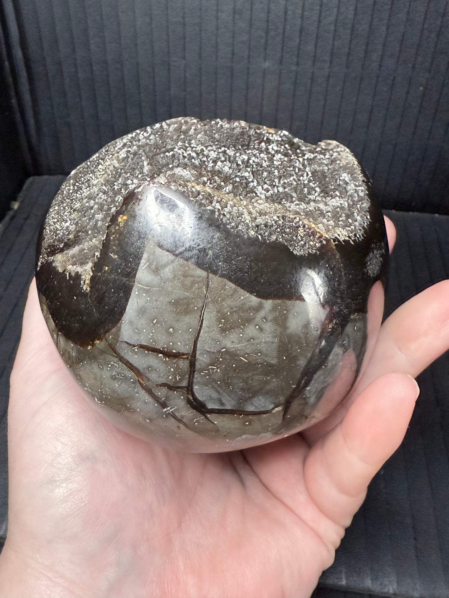 Septarian/dino Egg