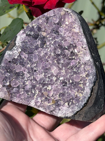Brazilian Amethyst Druzy Geode  – 914g C