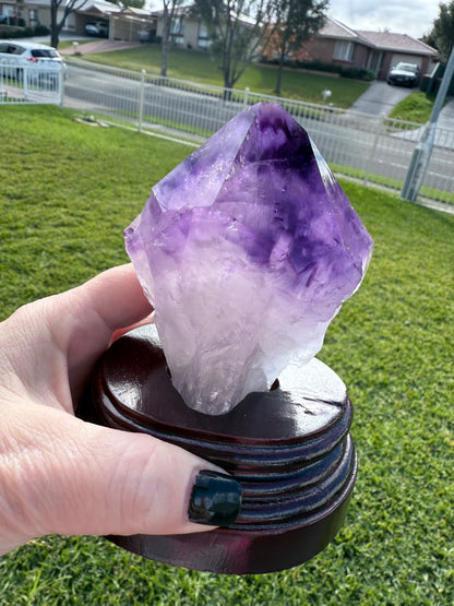 Amethyst Tooth with Custom made stand