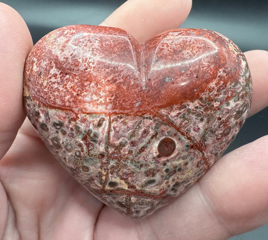 Leopard Skin Jasper Heart 5.7cm A - Crystal wonderland By Lisa