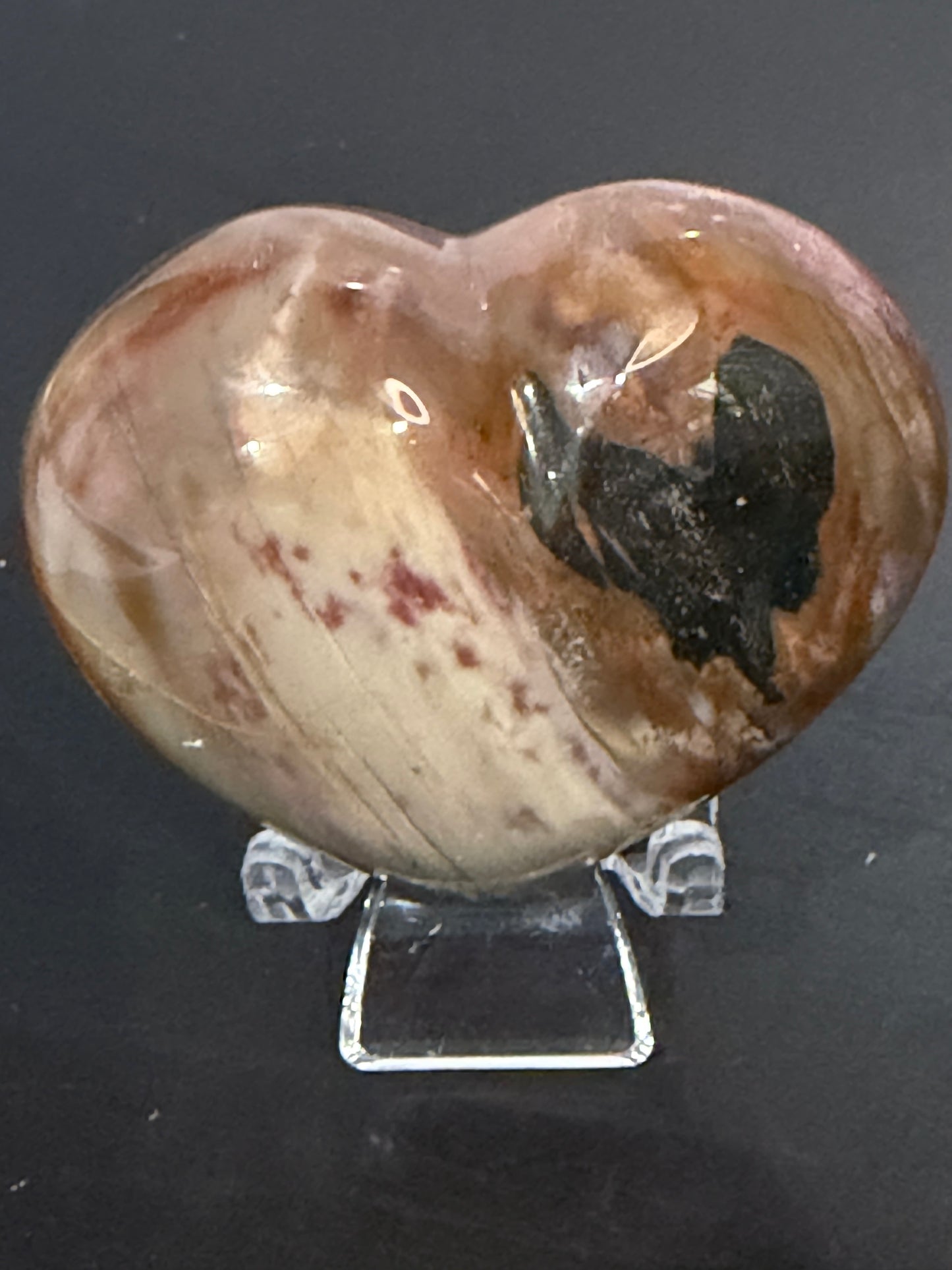 Petrified Wood Heart 🤎 B