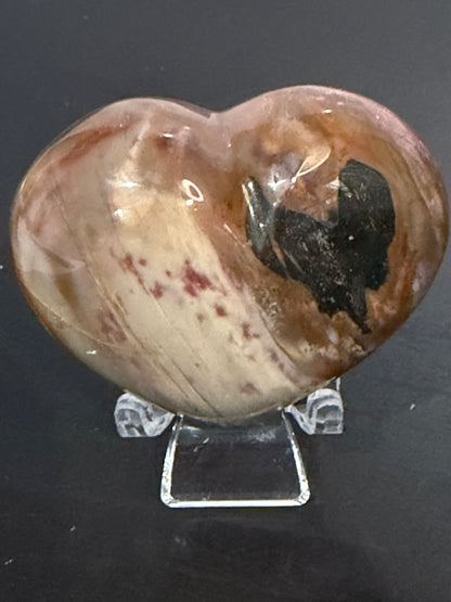 Petrified Wood Heart 🤎 B