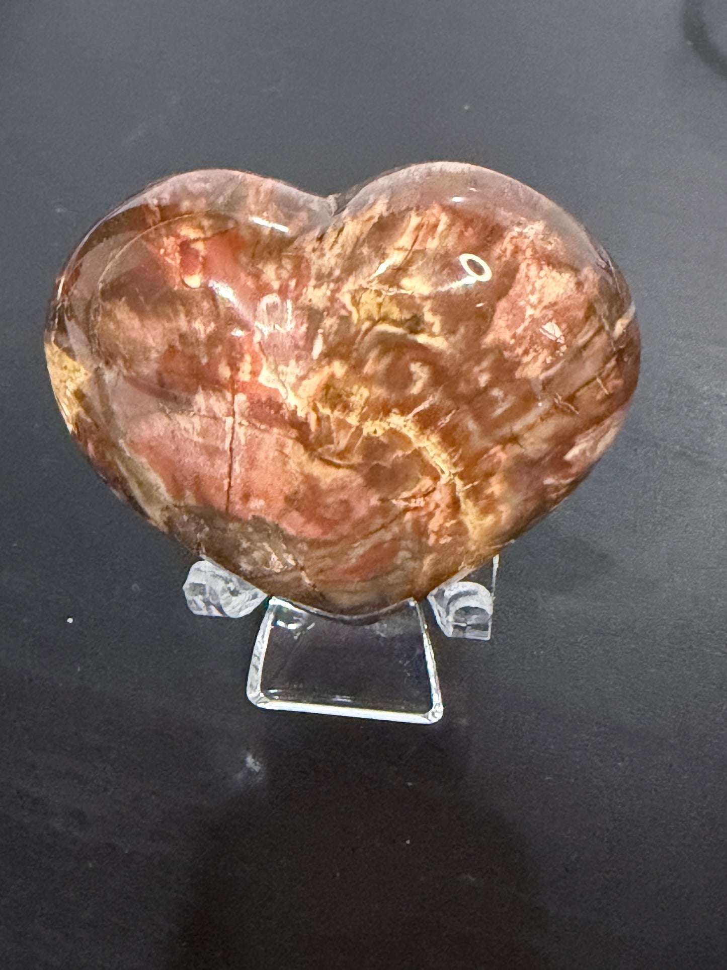 Petrified Wood Heart 🤎 A