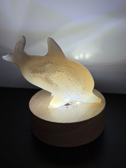 Agate Dolphin with Natural Druzy