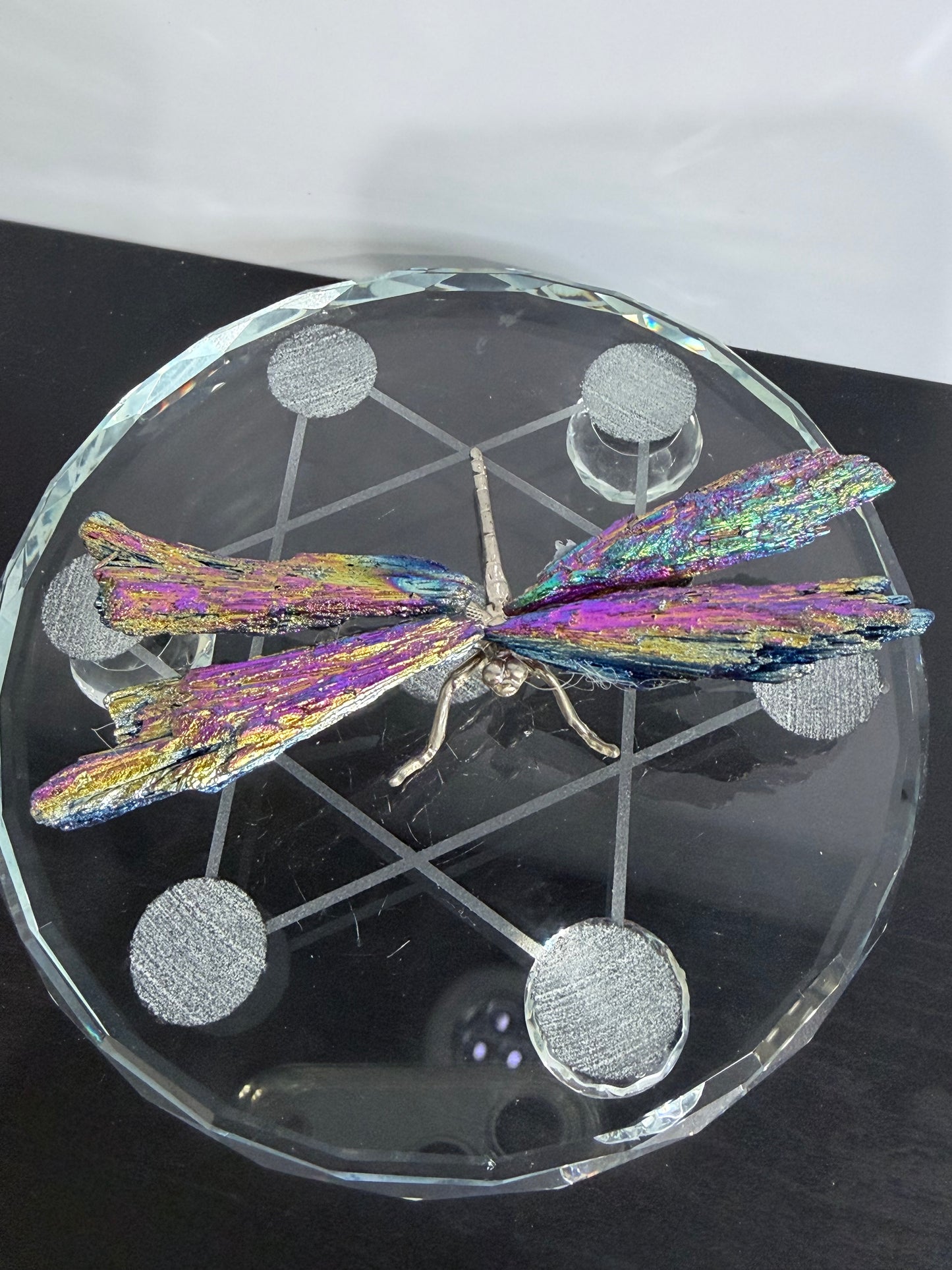 Aura Kyanite Dragonfly – 9cm