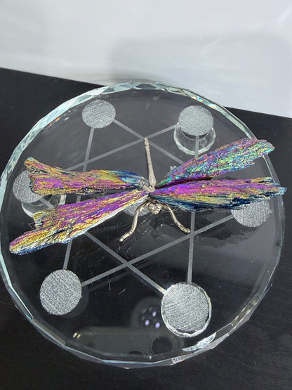 Aura Kyanite Dragonfly – 9cm