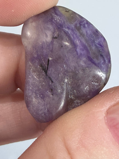 Rare Charoite Mini Tumbles
