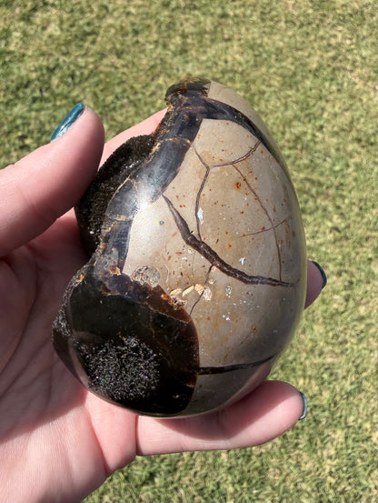 Septarian Druzy Egg — 500 g (9.1 × 5.7 cm) Dragon Stone