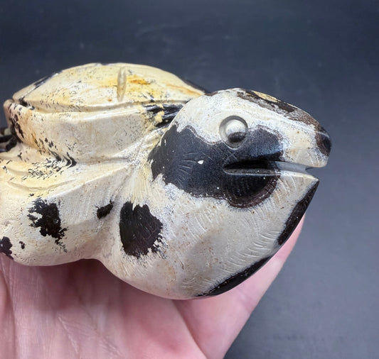 Picture Jasper Turtle Carving