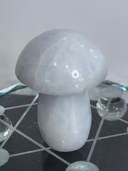 Blue Calcite Mushroom Crystal – A