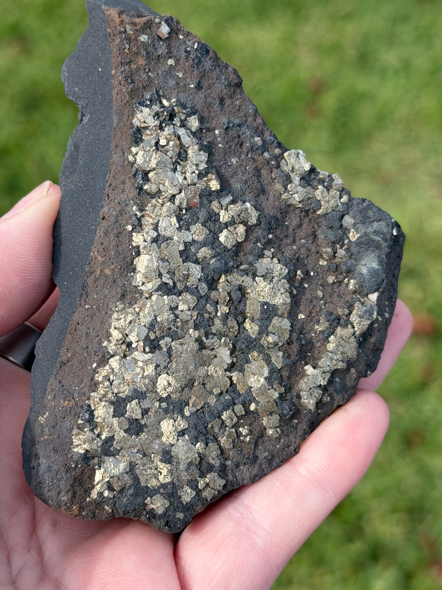 Natural Pyrite on Shungite Specimen – 174g
