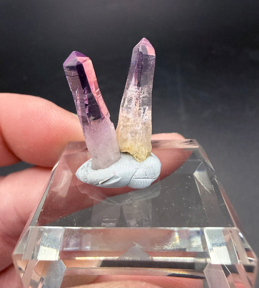 Vera Cruz Amethyst Cluster on Glass Display