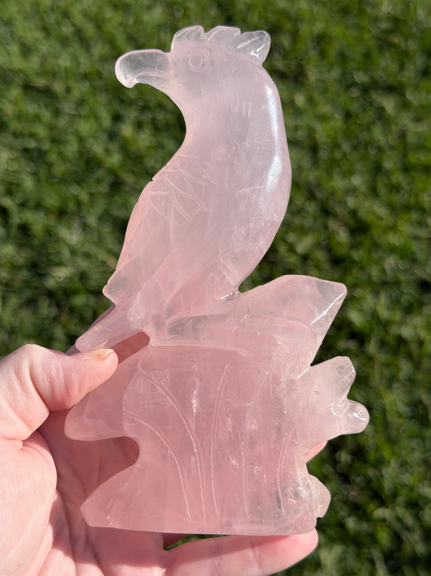 Rose Quartz Parrot Carving – 500g