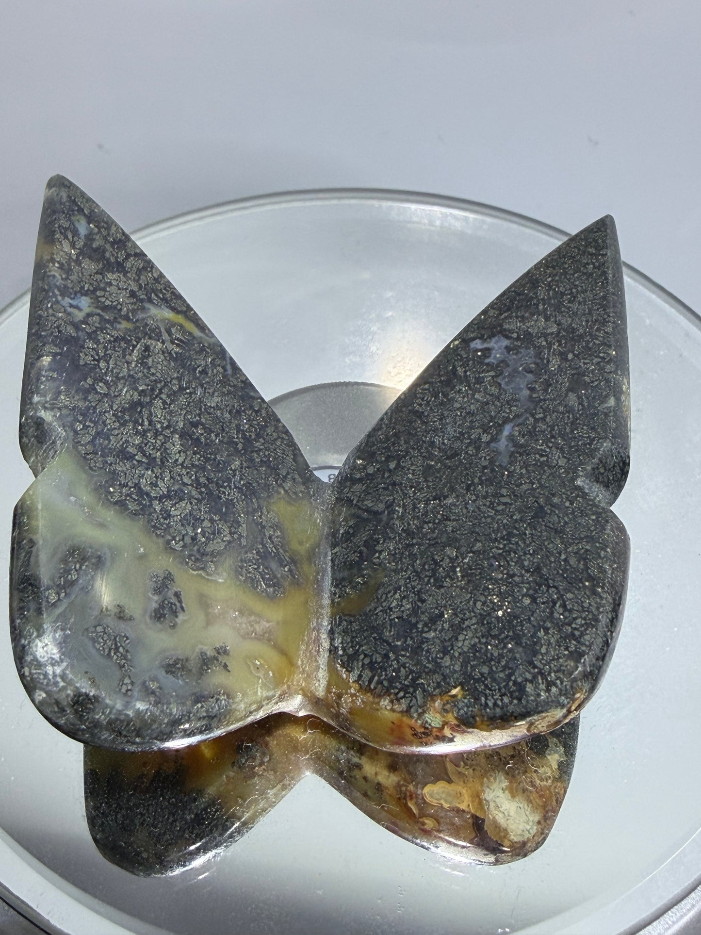 Indonesian Marcasite Butterfly Carving – 5cm (B)