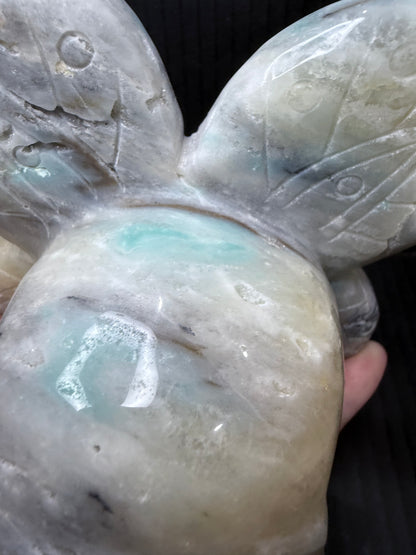 Caribbean Calcite Butterfly Skull Carving | 1.2kg | 14 × 12cm
