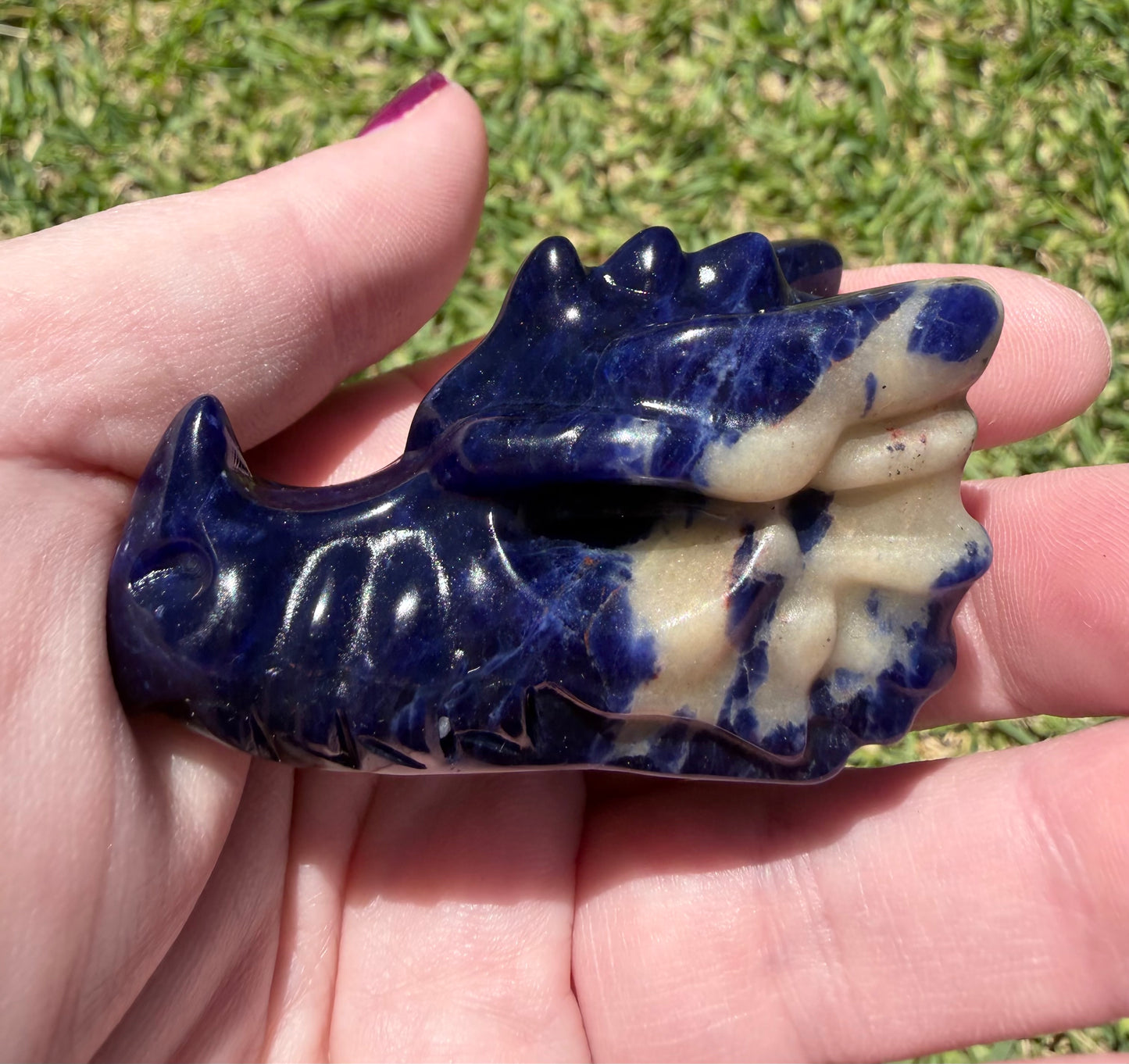 Sodalite Dragon Head