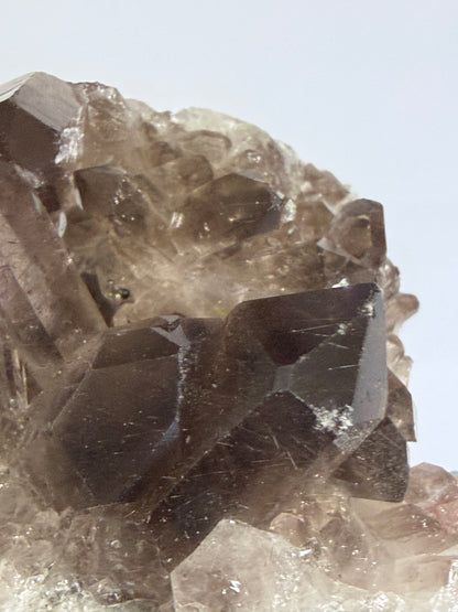 Smoky Quartz Crystal Cluster on Milky Quartz Matrix 214g | Natural Brazilian